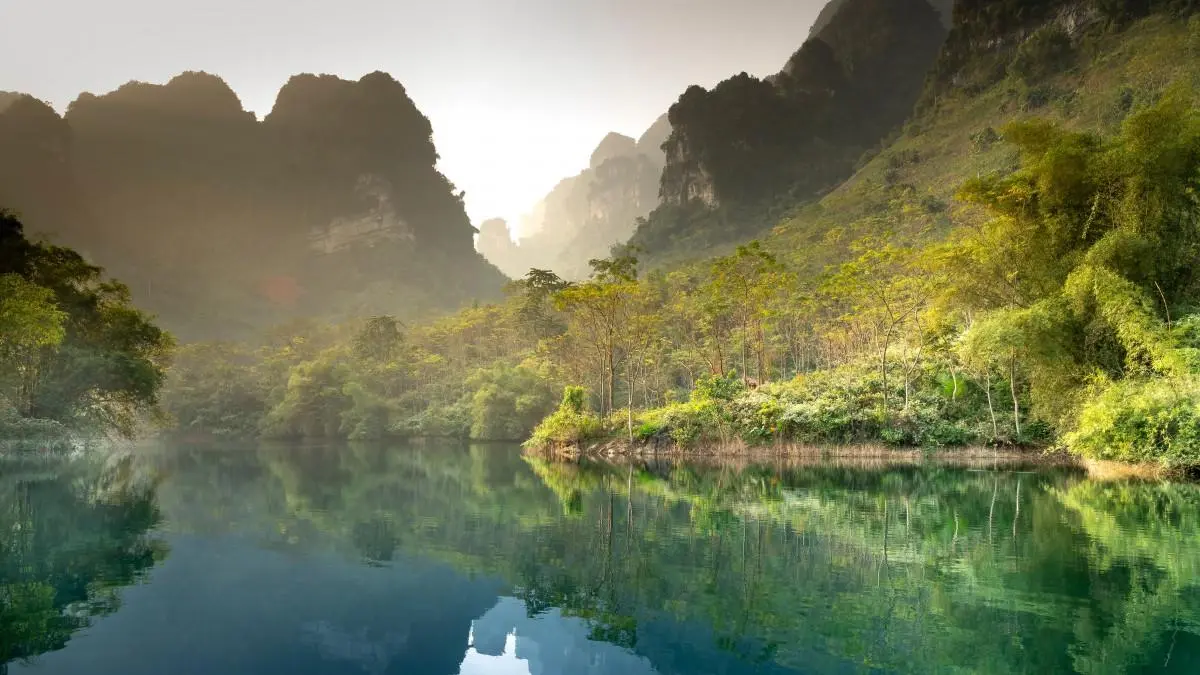 高端高效